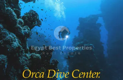 Chalet - 3 Bedrooms - 3 Bathrooms for sale in Mesca - Soma Bay - Safaga - Hurghada - Red Sea