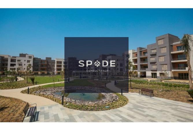 8166100 - صورة العقار 3