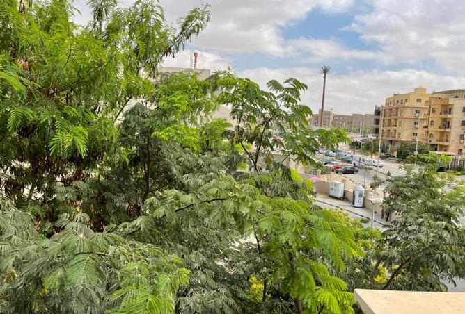 8258907 - Property Image 3