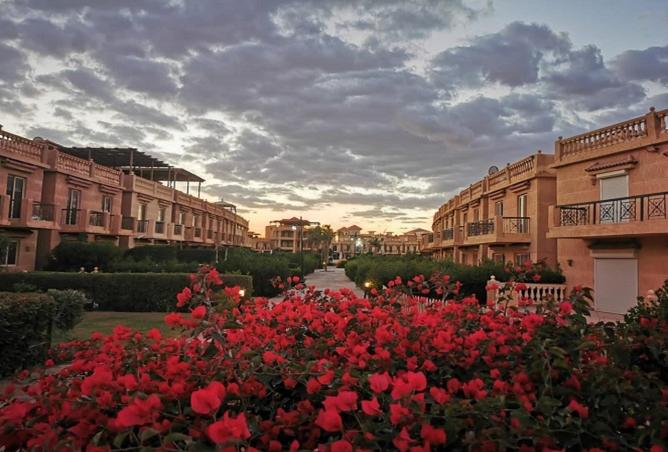 8482358 - صورة العقار 3