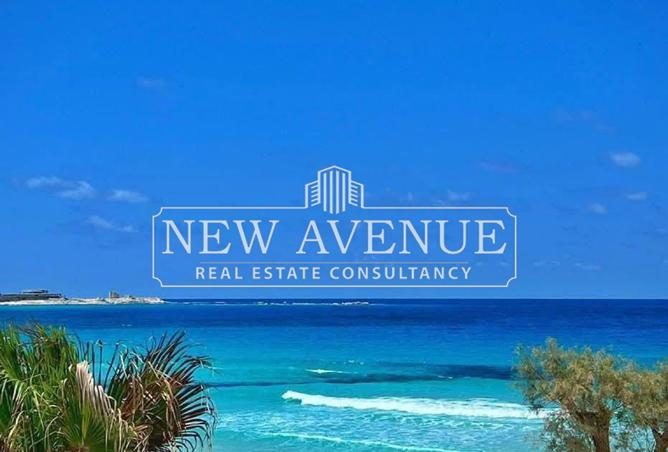 8437848 - Property Image 3