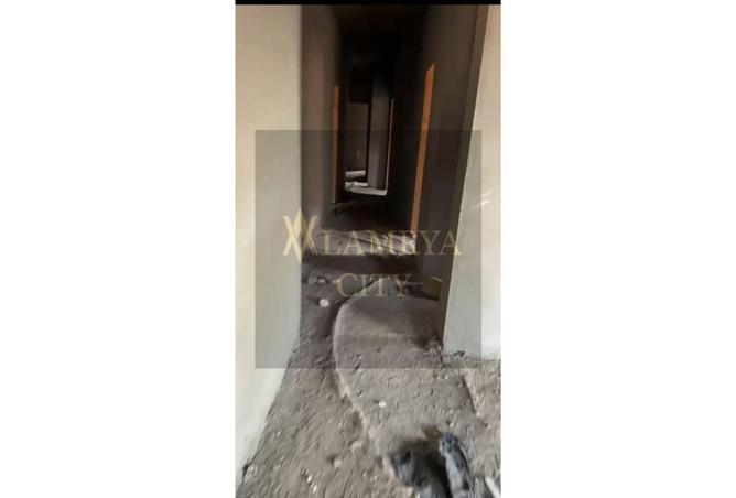 7967670 - صورة العقار 3