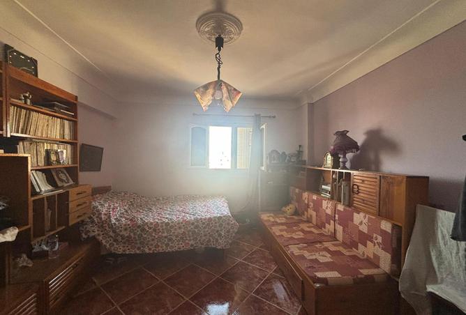 7980434 - Property Image 2
