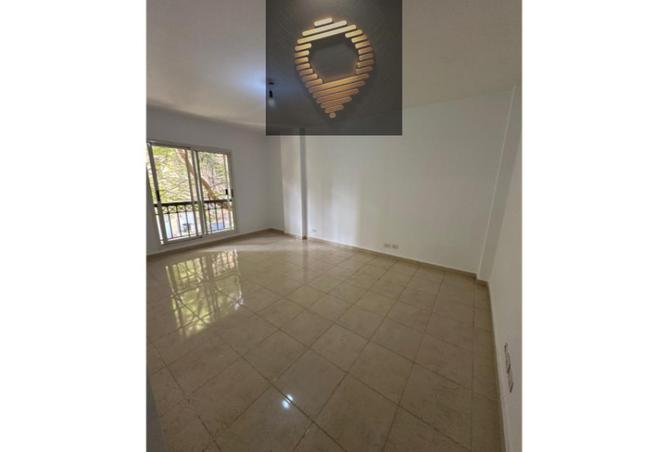 8426611 - Property Image 3