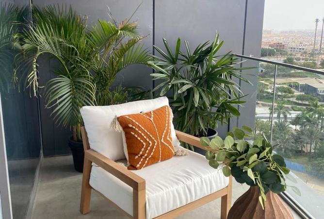 8437079 - Property Image 3