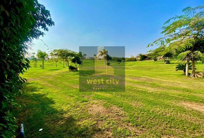 8387273 - Property Image 2