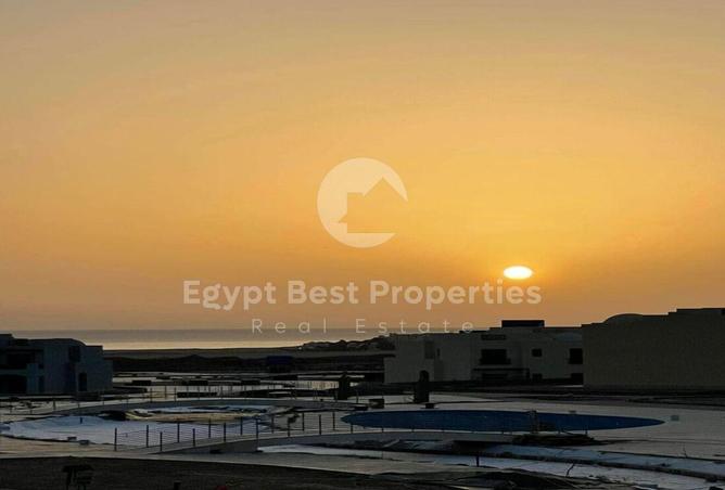 8359078 - Property Image 3