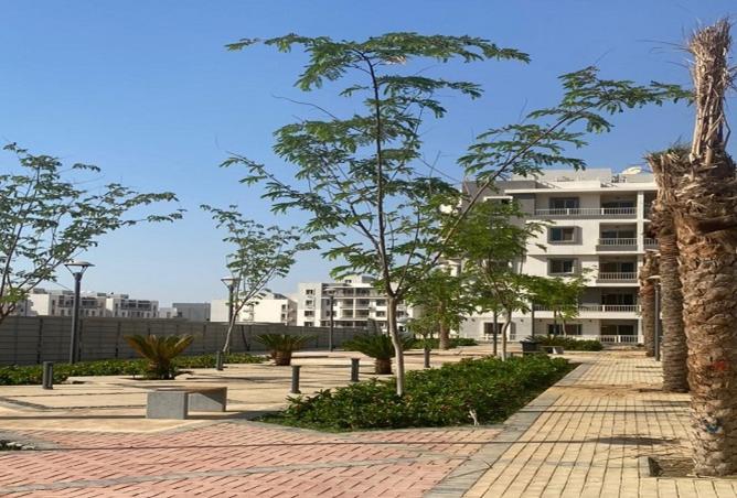 8371977 - الصورة الرئيسية للعقار