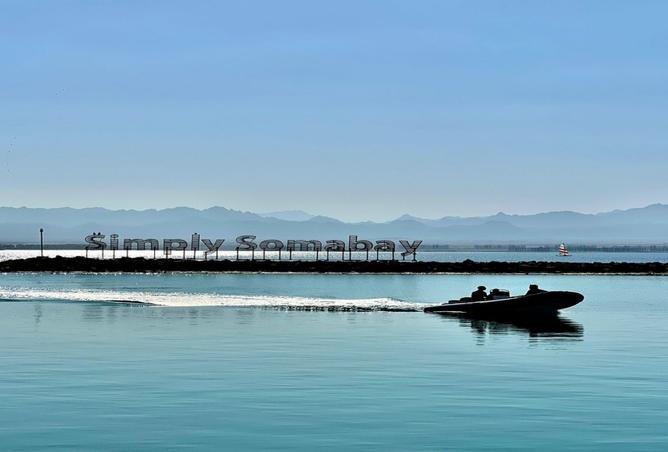 8557357 - صورة العقار 3