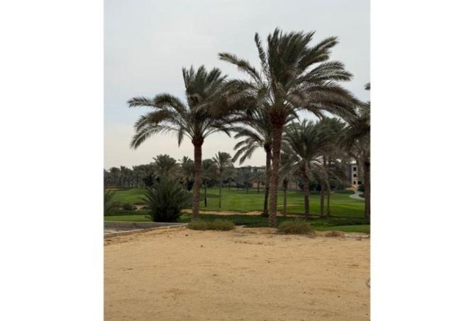 8404895 - Property Image 3