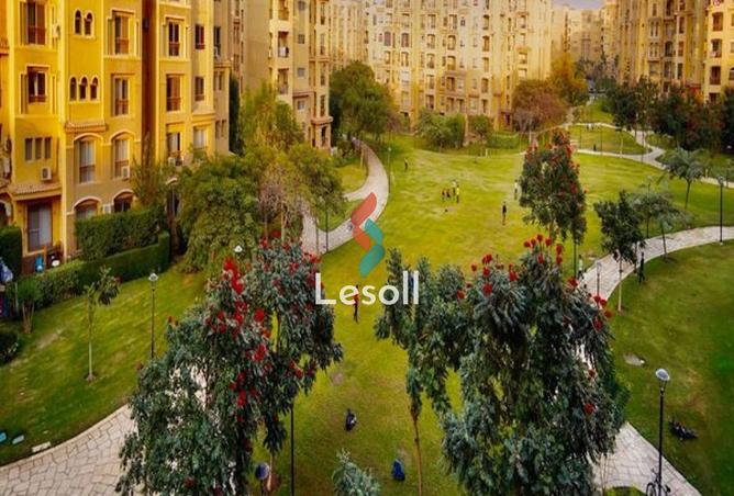 8236805 - صورة العقار 3