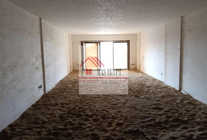 8446021 - Property Image 3