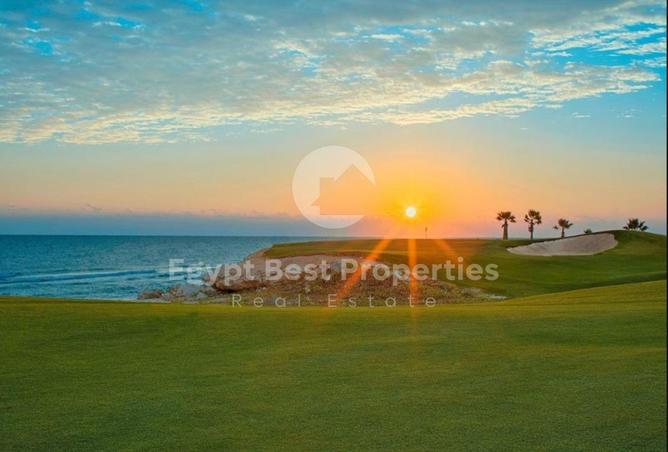 8483955 - Property Image 2