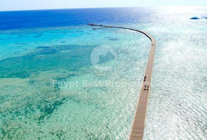 8348688 - صورة العقار 2