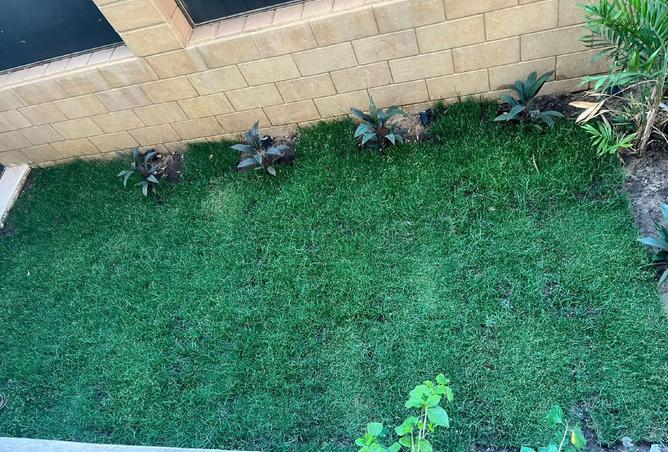 8222965 - صورة العقار 3