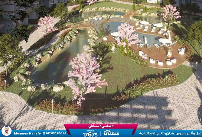 8268722 - Property Image 2