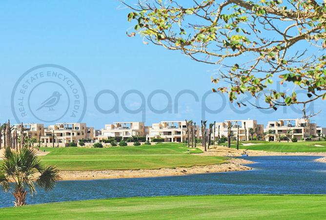 7916564 - الصورة الرئيسية للعقار