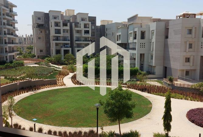 8243558 - الصورة الرئيسية للعقار