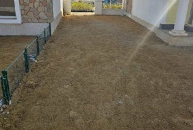 8251647 - Property Image 3