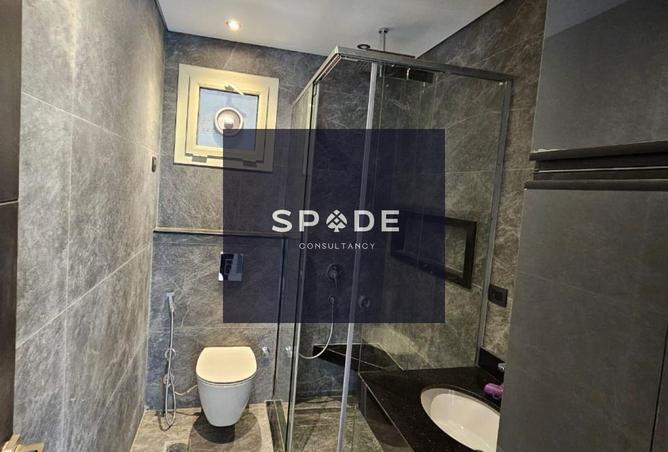 8395906 - Property Image 3