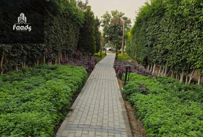 8239981 - Property Image 2