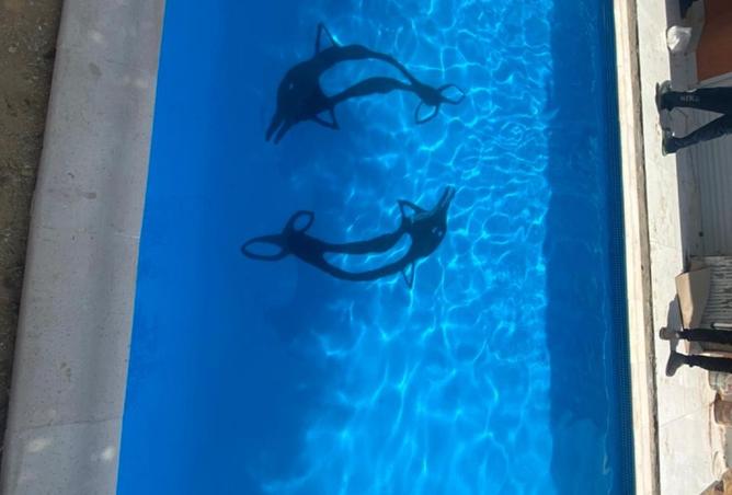 7998534 - صورة العقار 2