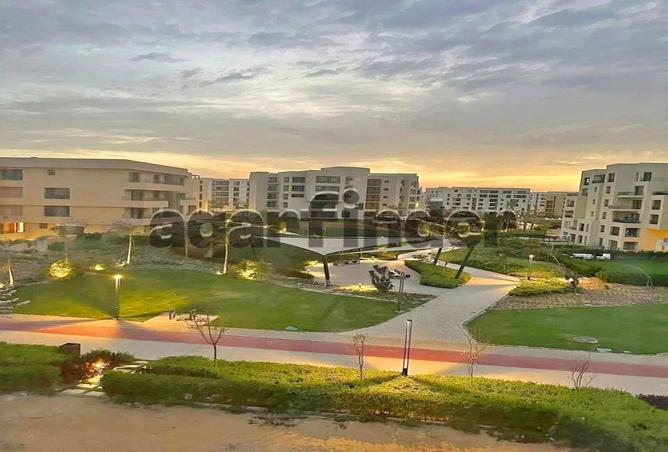 8293533 - صورة العقار 3