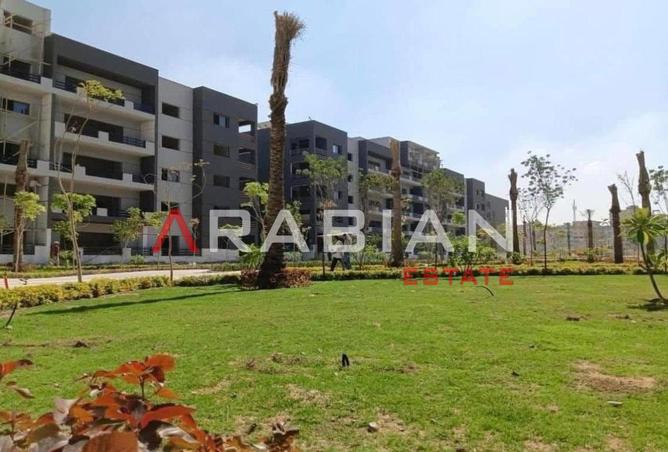 8198339 - صورة العقار 3