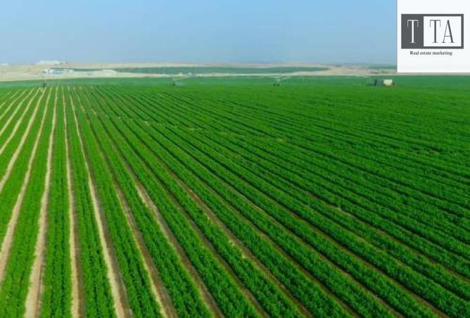 8204854 - الصورة الرئيسية للعقار