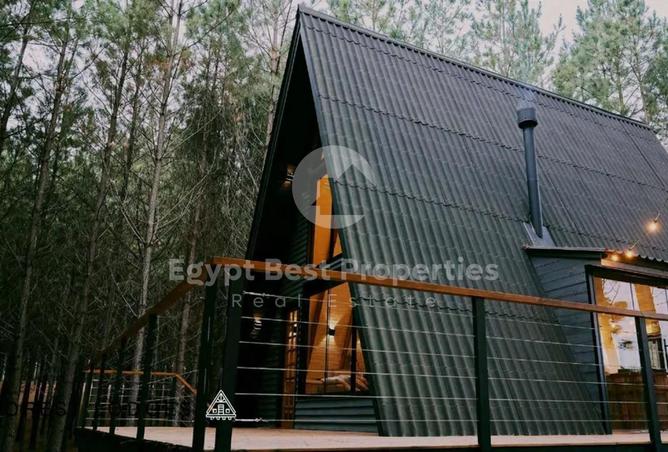 8363175 - صورة العقار 2