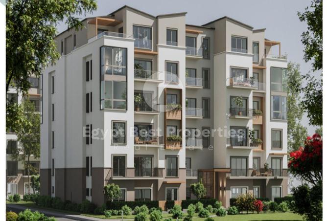 8195150 - Property Image 3