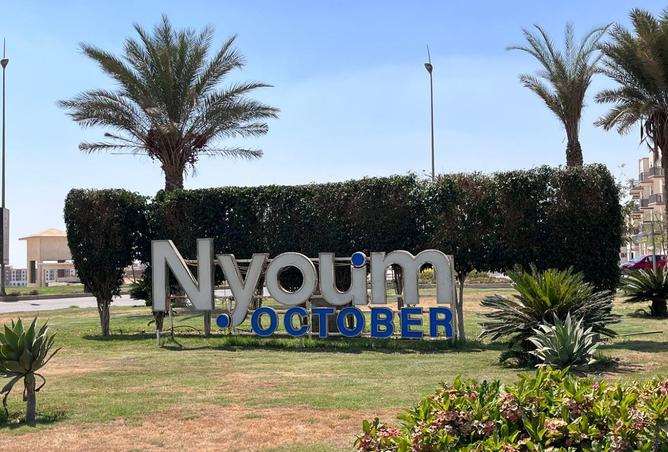 8439582 - صورة العقار 2