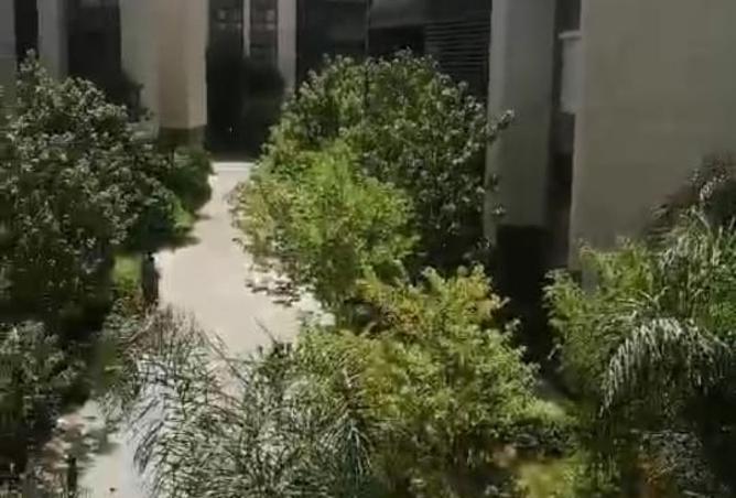 7940374 - الصورة الرئيسية للعقار
