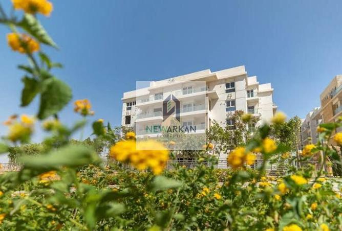 8330328 - Property Image 3