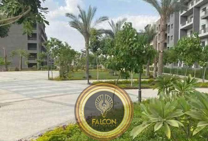 8052010 - صورة العقار 2