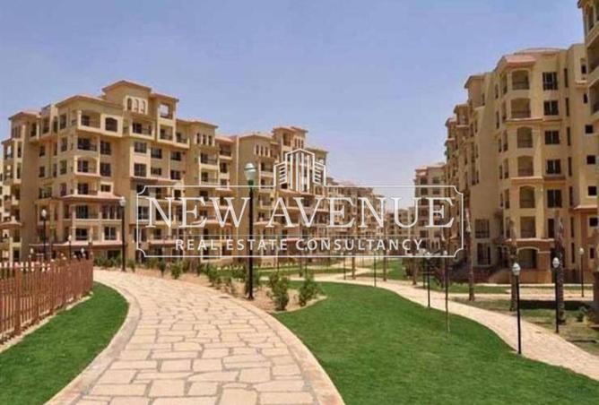 8192641 - Property Image 3