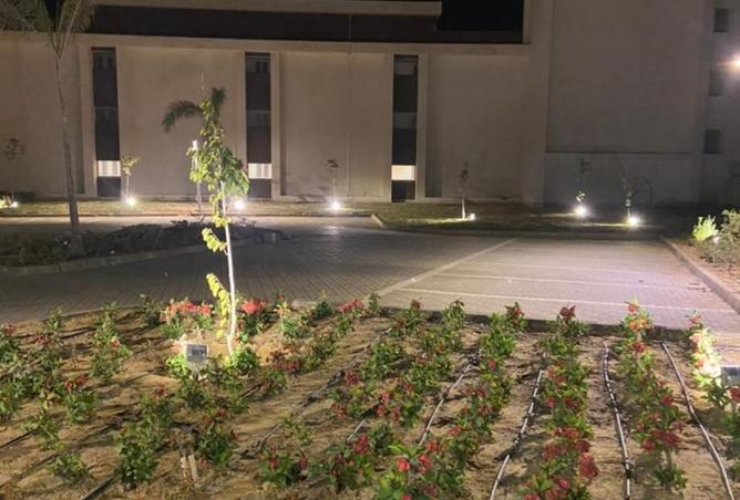 8337584 - Property Image 3