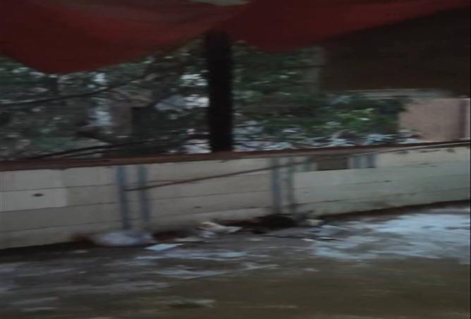 8389394 - صورة العقار 2