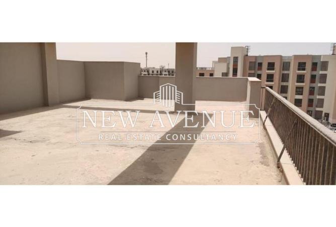 8122743 - صورة العقار 2