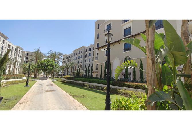 8118704 - Property Image 3