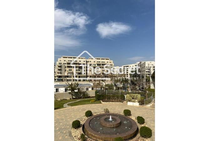7969609 - صورة العقار 3