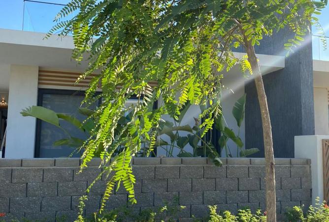 8461803 - صورة العقار 3