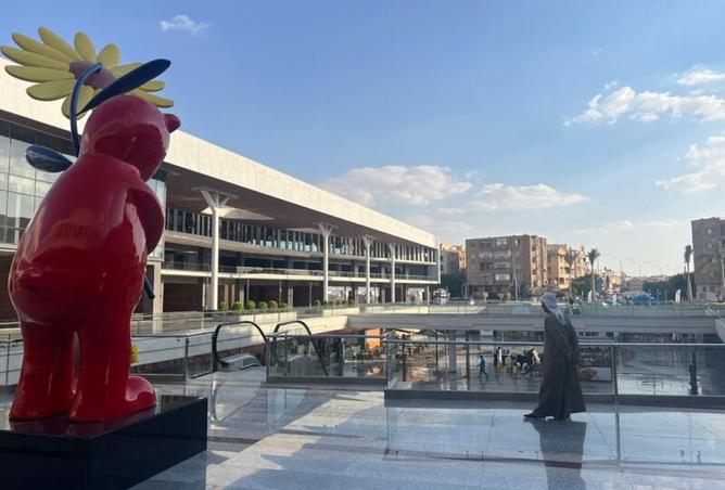 8200367 - Property Image 3