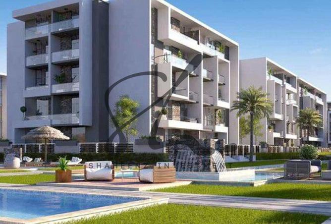 8248029 - Property Image 3