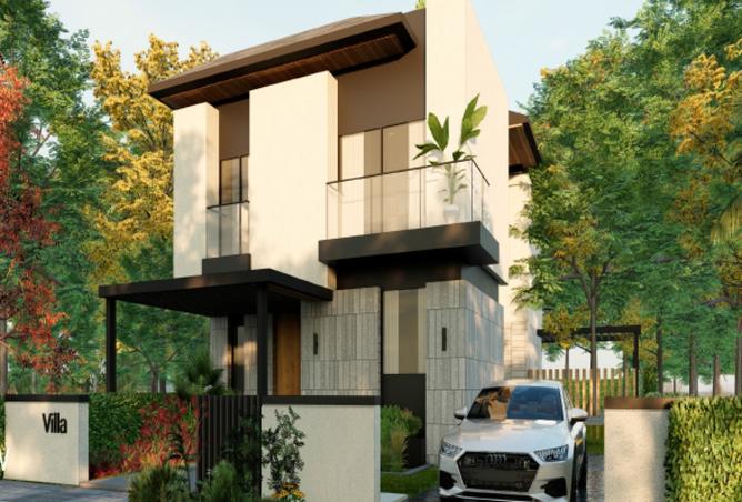 8285376 - Property Image 3