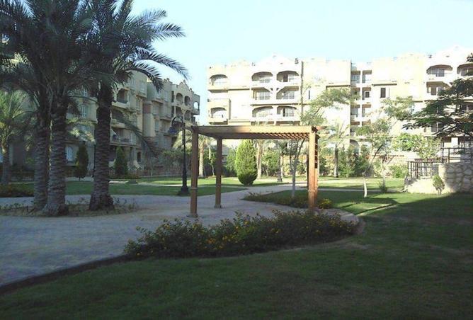 7975136 - Property Image 3