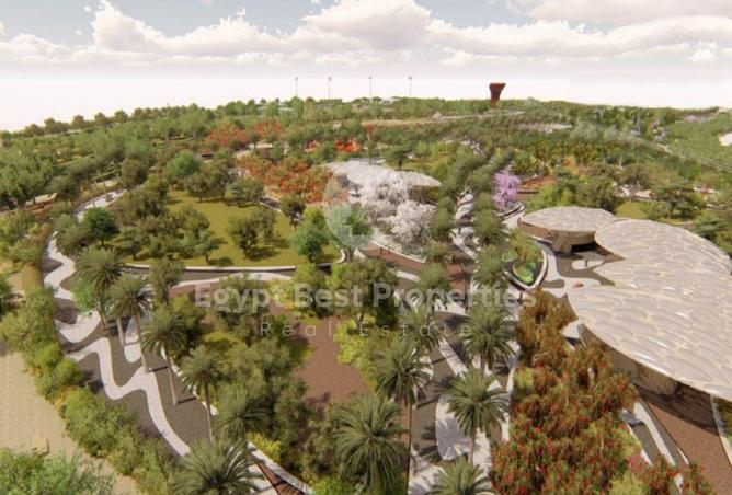 8196519 - Property Image 3