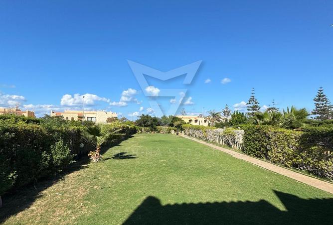 8339142 - Property Image 2