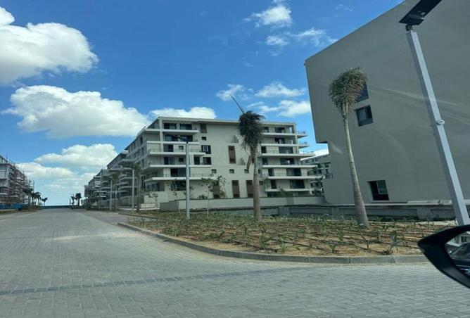 8352638 - Property Image 3