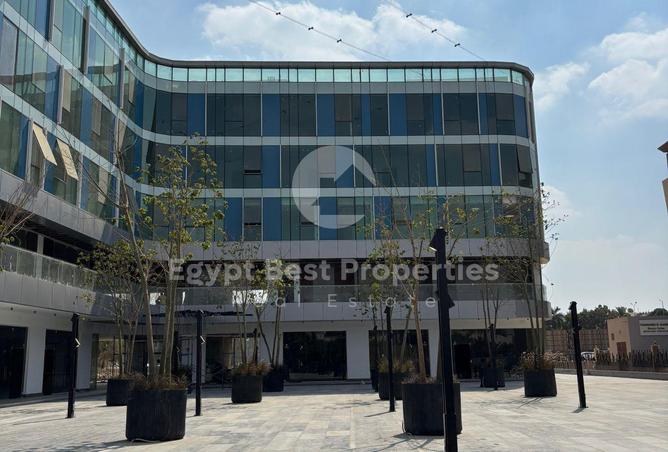 7963782 - Property Main Image